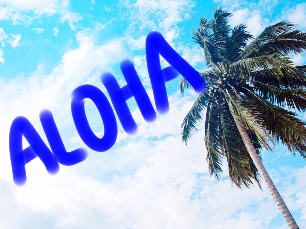 ＡＬＯＨＡ　ブログ